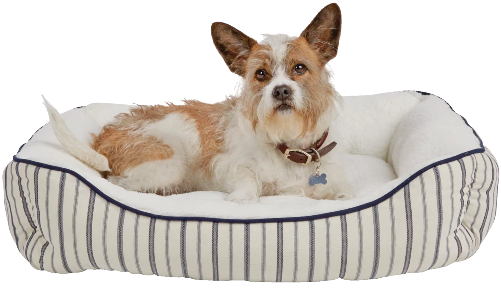 Petco Blue Nautical Striped Nester Faux Fur Dog Bed, Washable, 32-in X 24-in, White/Blue 8 Petco Blue Nautical Striped Nester Faux Fur Dog Bed, Washable, 32-in X 24-in, White/Blue - Image 6