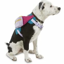 Petco Newstalgia Dog Fanny Pack, Assorted Sizes, Pink