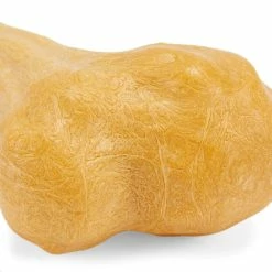 Petco Nylon Chicken Bone Dental Chew Toy, Extra Large -Spooky Pet World petco nylon chkn bone dental chew toy extra large c16d7053 9ee5 4b05 835f 7acef623c8a1