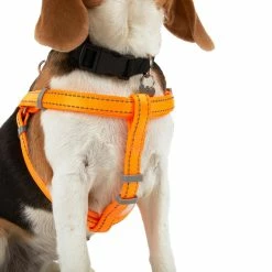 Petco Padded Step-in, Reflective Dog Harness Vest, Adjustable, Assorted Sizes, Orange -Spooky Pet World petco padded reflective harness orange 3 4 x19 30 4f898868 27af 4ae2 b54c f54063286077