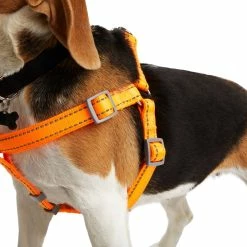 Petco Padded Step-in, Reflective Dog Harness Vest, Adjustable, Assorted Sizes, Orange -Spooky Pet World petco padded reflective harness orange 3 4 x19 30 b42c0832 c388 4eb2 b4da f591ad500b04