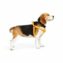 Petco Padded Step-in, Reflective Dog Harness Vest, Adjustable, Assorted Sizes, Orange -Spooky Pet World petco padded reflective harness orange 3 4 x19 30 d9d907a2 7922 42b7 821b 3aca336a6793