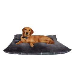 Petco Dual Purpose Décor And Comfort Pet Pillow And Bed, Washable, 35-in X 44-in, Assorted Colours -Spooky Pet World petco pillow 35x44 c5d42b93 ad97 4135 a042 47477bd8a824