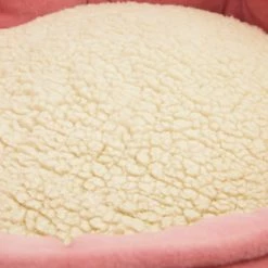 Petco EveryYay Snooze Fest High-Back Bolster Cat Bed, Washable, 18-in X 18-in, Pink -Spooky Pet World petco princess bed 34b384fa f65a 4d14 861d 4ceb80854715