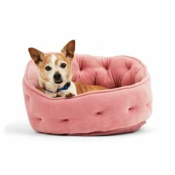 Petco EveryYay Snooze Fest High-Back Bolster Cat Bed, Washable, 18-in X 18-in, Pink -Spooky Pet World petco princess bed eb0989ed 2c75 4bab ae00 50c0251aaeb2