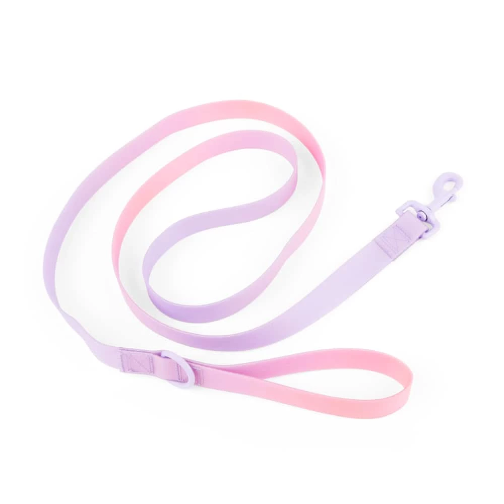 Petco Wipeable Dog Leash, 6-ft, Purple 3 Petco Wipeable Dog Leash, 6-ft, Purple