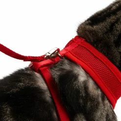 Petco Mesh Cat Harness And Leash Set, Adjustable For Cat Walking, 4-ft, Red -Spooky Pet World petco red mesh cash harness lead set 33570545 53bd 462f 83d0 a439a4db9166