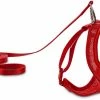 Petco Mesh Cat Harness And Leash Set, Adjustable For Cat Walking, 4-ft, Red 1 Petco Mesh Cat Harness And Leash Set, Adjustable For Cat Walking, 4-ft, Red -Spooky Pet World petco red mesh cash harness lead set 404411be ad1e 404d 93f8 eb4adec2d400