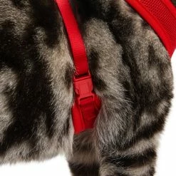 Petco Mesh Cat Harness And Leash Set, Adjustable For Cat Walking, 4-ft, Red -Spooky Pet World petco red mesh cash harness lead set 7dfe531c 62e2 4876 8ba9 8717a52a8c23