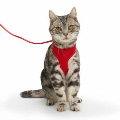 Petco Mesh Cat Harness And Leash Set, Adjustable For Cat Walking, 4-ft, Red -Spooky Pet World petco red mesh cash harness lead set 8f8a14ec 38df 4c06 9204 89a4da01d7f9