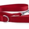 Petco Nylon Dog Leash, 4-ft, Red -Spooky Pet World petco red nylon dog leash 4 ft 46e5c388 cadc 4a41 a276 04685e552c32