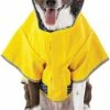Petco Reversible Dog Raincoat Jacket Hooded, Waterproof With Leash Hole, Small, Yellow 2 Petco Reversible Dog Raincoat Jacket Hooded, Waterproof With Leash Hole, Small, Yellow -Spooky Pet World petco reversible dog raincoat in yellow small 1416969b 7229 45a2 bf80 e3ed1f129302