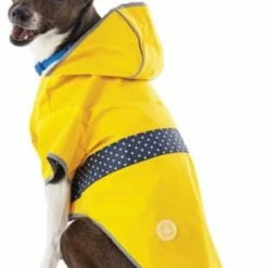 Petco Reversible Dog Raincoat Jacket Hooded, Waterproof With Leash Hole, Small, Yellow -Spooky Pet World petco reversible dog raincoat in yellow small cac8e44e e10d 4167 99bb ef6f8851ab4f