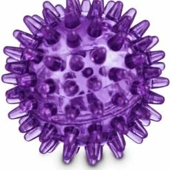 Petco Bouncing Spiny Ball Dog Toy, Assorted Colours -Spooky Pet World petco spiny bone dog toy in assorted colours 2 922b611a 84f9 41fa 9612 38c9722d2102