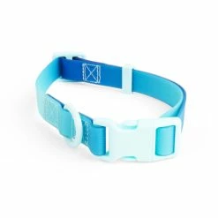 Petco Ombre Wipeable Dog Collar, Teal