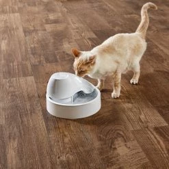 Petco Waterslide Classic Cat Water Fountain, Dishwasher Safe And BPA Free Includes 3 Filters, 50-oz -Spooky Pet World petco waterslide cat water fountain cdc3c849 cdfb 4259 918e 951247993aed