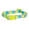 Petco Reflective Dog Collar, Yellow/Blue