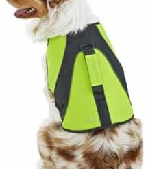 Petco Dog Life Jacket/Flotation Vest, Waterproof , Assorted Sizes, Yellow -Spooky Pet World petco yellow dog flotation vest large a1cebda9 3608 46eb 9fd1 3c6f7449c74a