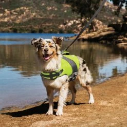 Petco Dog Life Jacket/Flotation Vest, Waterproof , Assorted Sizes, Yellow -Spooky Pet World petco yellow dog flotation vest large c11e2515 0273 4544 96df 8f4124158f7c