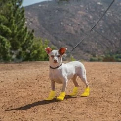 Petco Silicone Dog Boots, Waterproof , Small, Yellow -Spooky Pet World petco yellow silicone dog boots large ef50745c 1e52 4c7c 89da 82ece0a32e3d