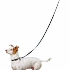 Petco Silicone Dog Boots, Waterproof , Small, Yellow -Spooky Pet World petco yellow silicone dog boots small 6ae5e694 7230 4d14 9a6d 5c0096f9110a