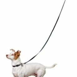 Petco Silicone Dog Boots, Waterproof , Small, Yellow -Spooky Pet World petco yellow silicone dog boots small ab097b92 e696 47d7 85ac c26e5d035f76