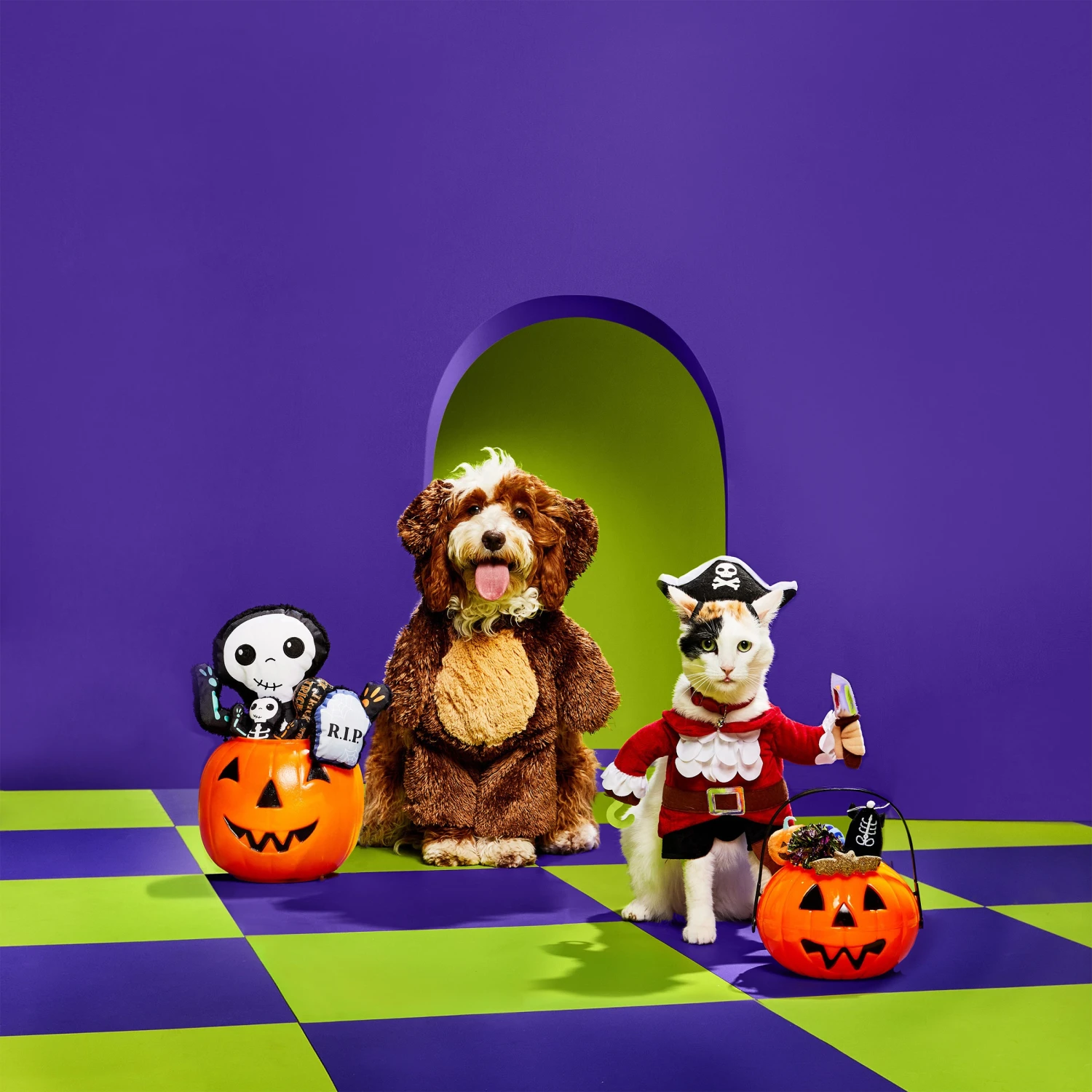 Spooky Pet World 32 Spooky Pet World -Spooky Pet World Petco Health and Wellness Compan