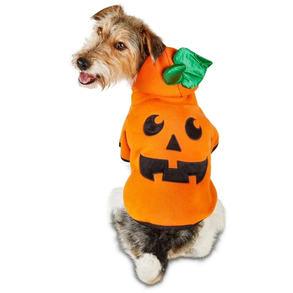 Spooky Pet World 33 Spooky Pet World -Spooky Pet World petco halloween pumpkin hoodie